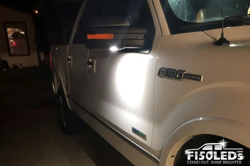 2009-14 F-150 Puddle Lamp Mirror Leds 1