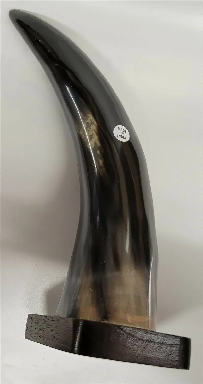 Buffalo Horn On Wooden Base (3"X4") 10" 1