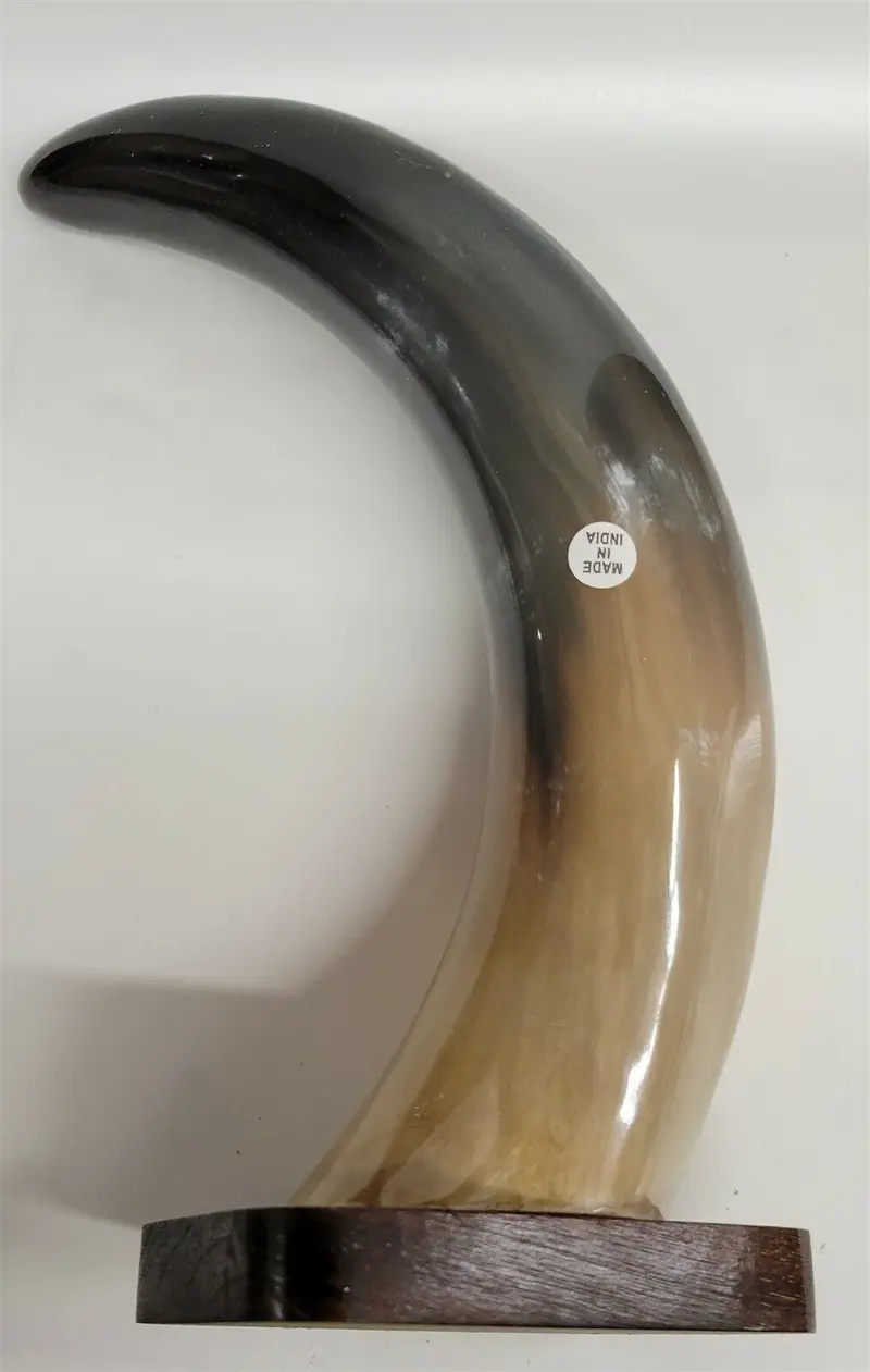Buffalo Horn On Wooden Base (3"X4") 11" 1