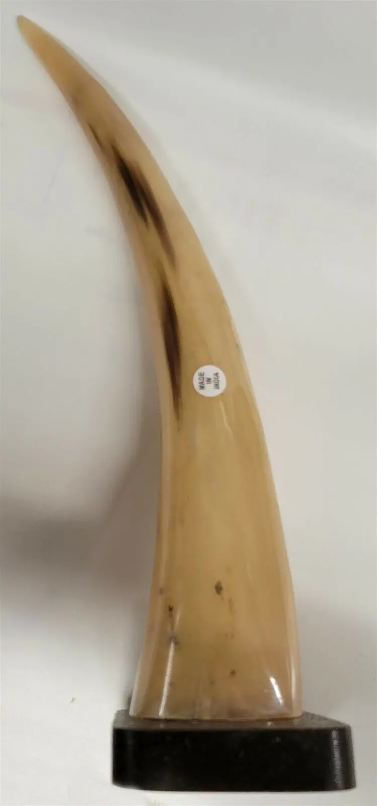 Buffalo Horn On Wooden Base (3"X4") 13" 1