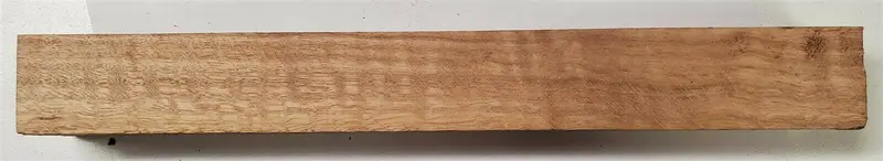 Eucalyptus Curly (1 Pc) Turning 1 1/2"Sq X 12" - (42) 1