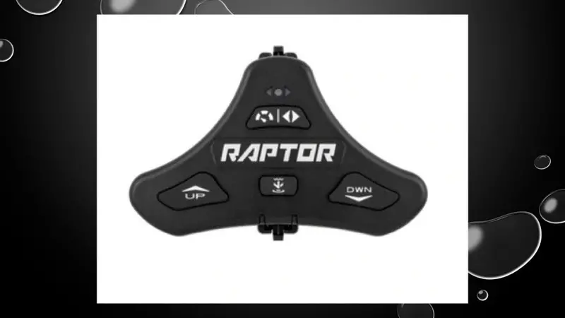 Raptor Foot Switch 1